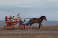 Promenade en attelage - La Grande Randonnée - Saint Pierre Quiberon - Morbihan - Bretagne