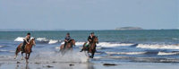 Randonnée équestre Quiberon - La Grande Randonnée - Saint Pierre Quiberon - Morbihan - Bretagne